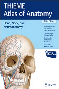 Head, Neck, and Neuroanatomy (THIEME Atlas of Anatomy) 3rd Edition Head, Neck, and Neuroanatomy (THIEME Atlas of Anatomy) 3rd Edition
