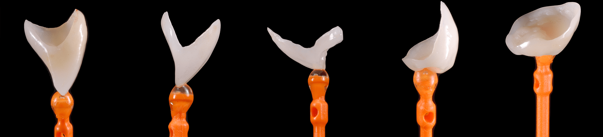 Online Residency Program in Fixed Prosthodontics: Esthetic and Functional Rehabilitation of Natural Teeth - Image 2